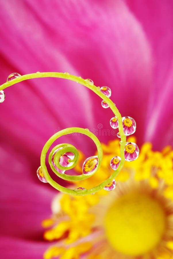 Spiral and rain drops stock photography Spiral and rain drops stock photography