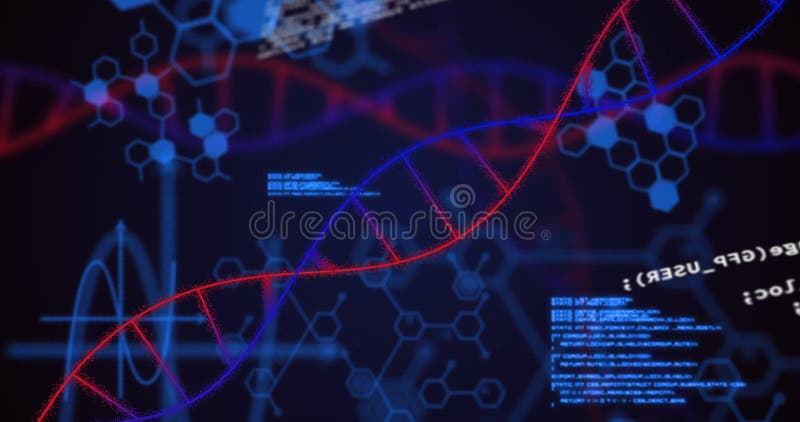 Spiraling red and blue DNA double helix across interface, overlaying hexagonal molecules and code stock video footage