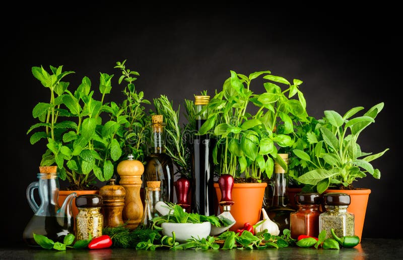 Spirito di natura morta che cucina gli ingredienti, le erbe e gli utensili immagini stock Spirito di natura morta che cucina gli ingredienti, le erbe e gli utensili immagini stock