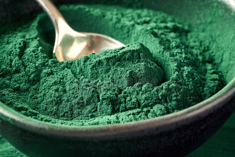 Spirulina Algae Powder in a Bowl, Closeup Stock Image Image of health