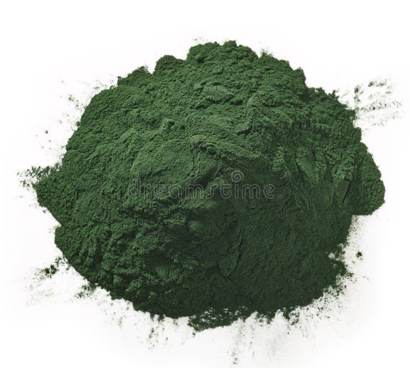 Underwater Seaweed Spirulina, Aquatic Marine Algae Plant Vector