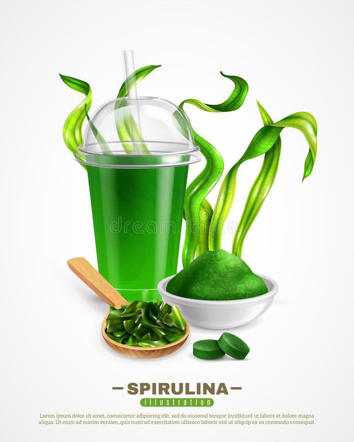 Spirulina Realistic Background Poster Stock Vector Illustration of