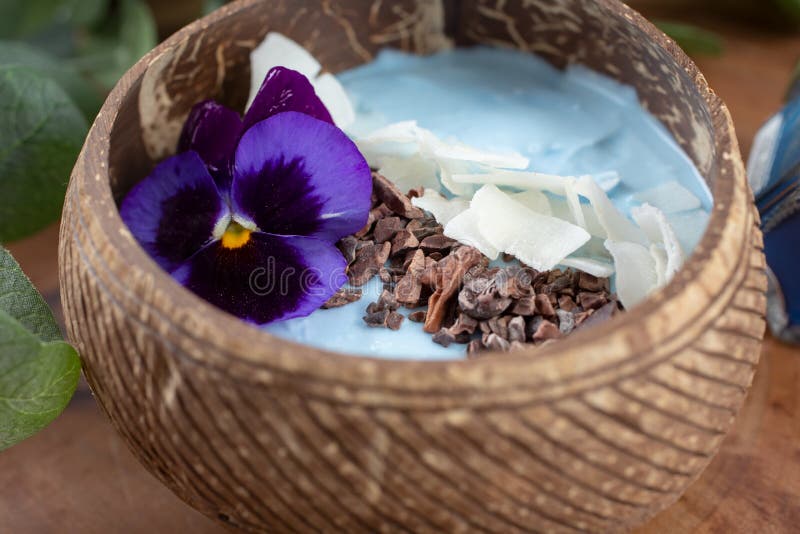 Spirulina Yogurt Bowl, Coconut Shell Bowl Stock Photo Image of