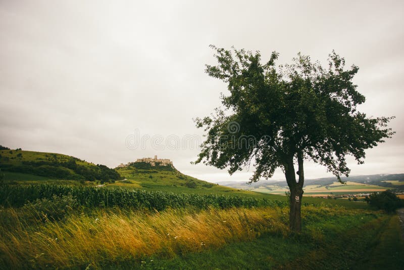 Spisske Podhradie town and Spis Castle Spissky hrad , Presov Region, Slovakia. View of the castle from the road leading to the ent