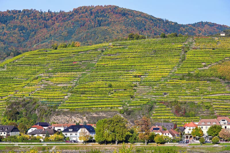 Spitz an der Donau,Wachau valley landscape royalty free stock image