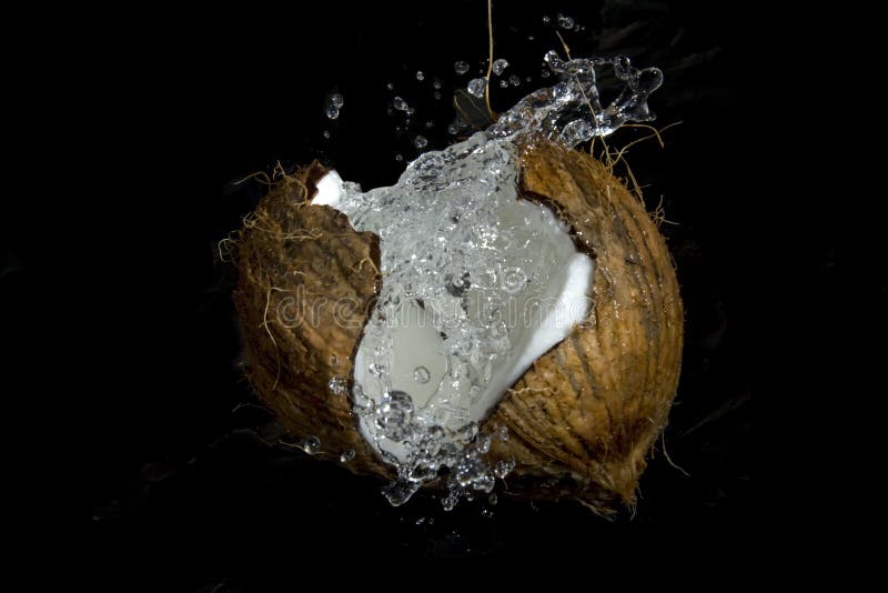 Splash of coconut milk stock photo. Image of core, husk 7797238