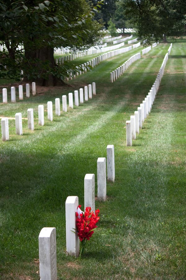 Lone floral tribute stands out as a splash of red amongst hundreds of gravestones at Arlington Cemeatry, VA.