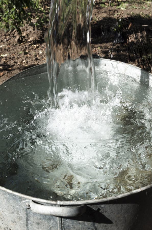 Pouring Water into Metal Watering Can in the Garden Stock Image Image