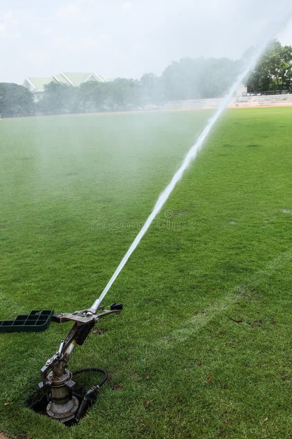 Sprinkler System Working on Fresh Green Grass on Football (soccer