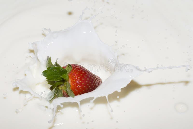 Splashing strawberry into a milk