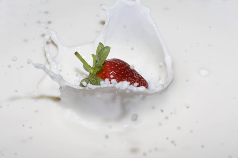 Splashing strawberry into a milk