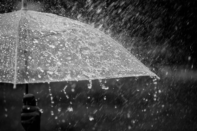 Image result for umbrella on the rain