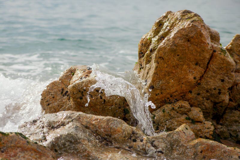 Splashing wave. royalty free stock images