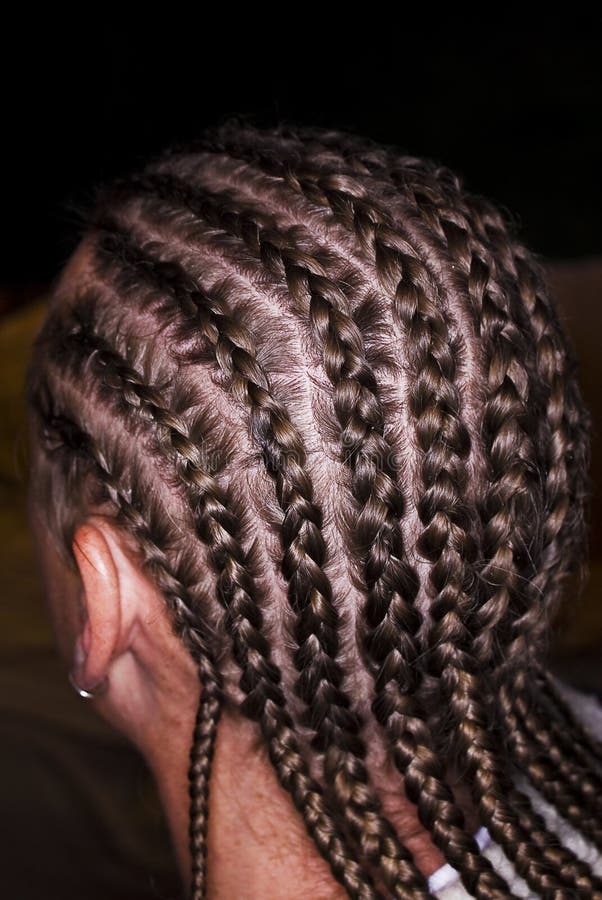 Male with cornrow braids. Back 3/4 view, opposite angle. Arrange or style hair by dividing into sections and braiding close to the scalp in rows. Cornrows are known as canerow in parts of the Caribbean and the United Kingdom. Male with cornrow braids. Back 3/4 view, opposite angle. Arrange or style hair by dividing into sections and braiding close to the scalp in rows. Cornrows are known as canerow in parts of the Caribbean and the United Kingdom.