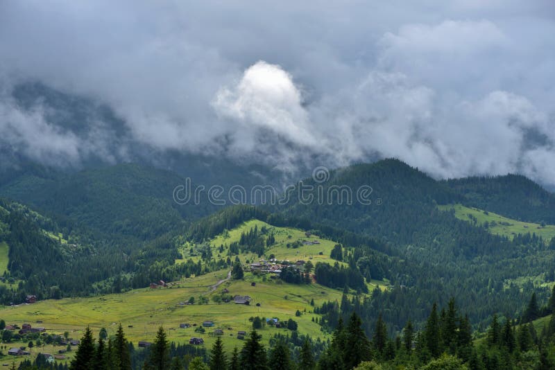 Splendid mountain valley is covered with fog after the rain with green alpine meadows. Foggy landscape. Location place Carpathian