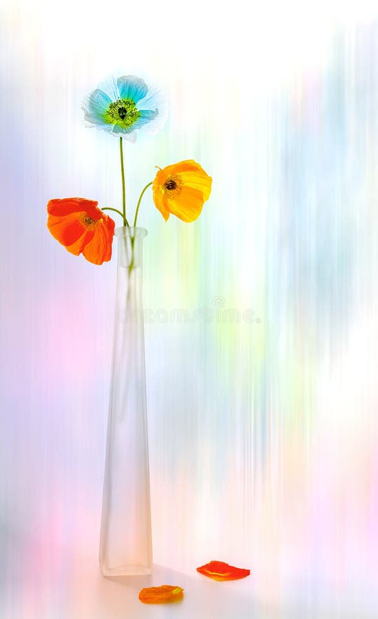 Splendid Poppies in a vase