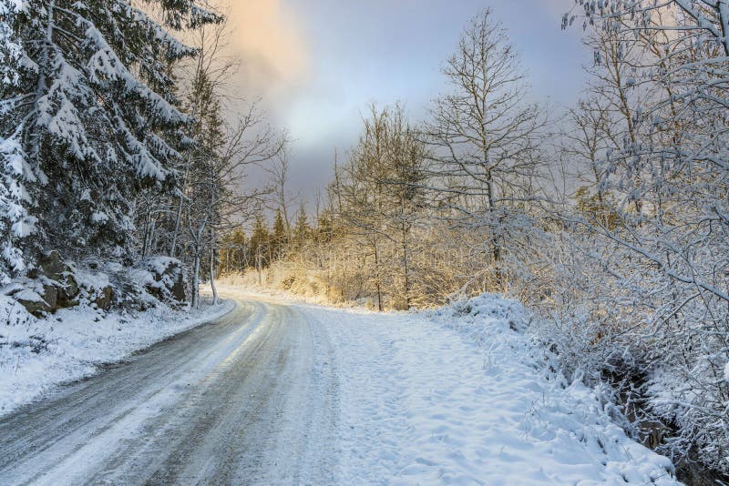 Splendida vista del paesaggio della natura d'inverno. Curvatura della strada di campagna e degli alberi gelidi forestali fotografie stock