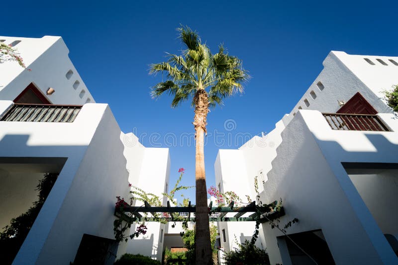 Splendide case bianche nel giardino tropicale con palme.
