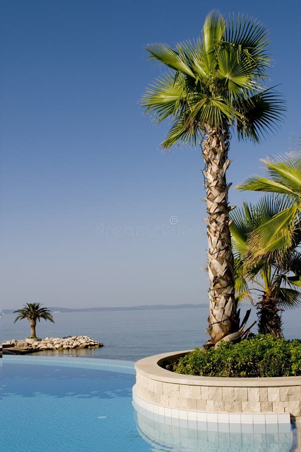 A pool and palmtrees at a seaside resort on the Ardriatic sea in Split, Croatia. Serene beach atmosphere stock images, royalty-free photos and pictures