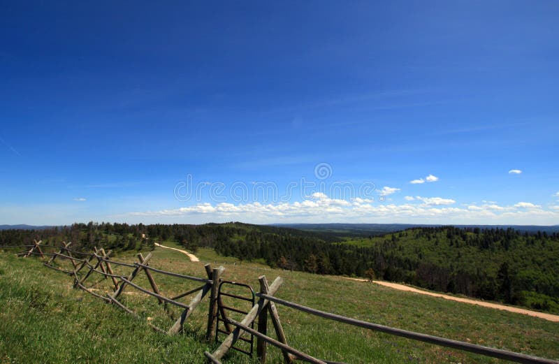 Split Rail Fence along Cement Ridge dirt road in the Black Hills