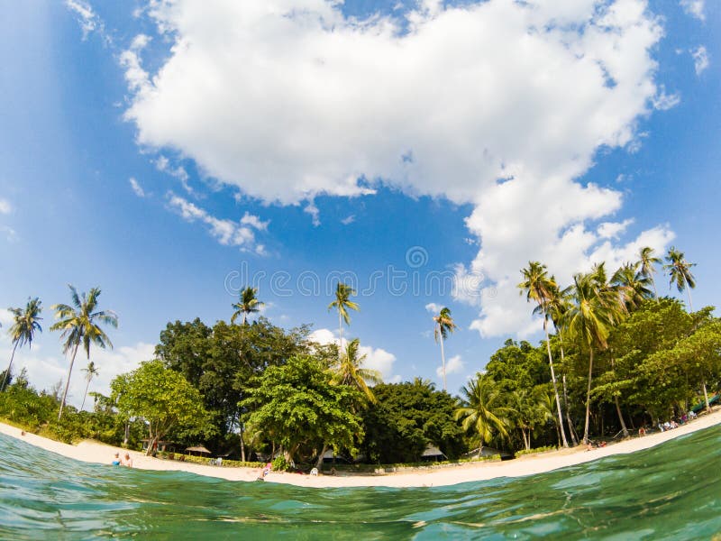 split underwater view of tropical beach royalty free stock photo split underwater view of tropical beach royalty free stock photo