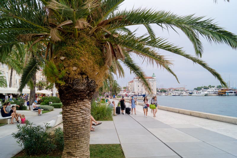 Splittring Dalmatia croatia 09/06/2018: Splittring Dalmatia, Kroatien; 09/07/2018: Flickor som sitter på momenten arkivbilder Splittring Dalmatia croatia 09/06/2018: Splittring Dalmatia, Kroatien; 09/07/2018: Flickor som sitter på momenten arkivbilder