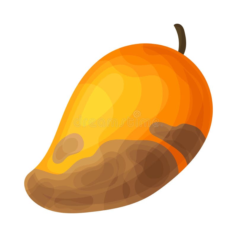 Rotten Mango Fruit Isolated, Background, Bad, Black PNG Transparent Image  and Clipart for Free Download