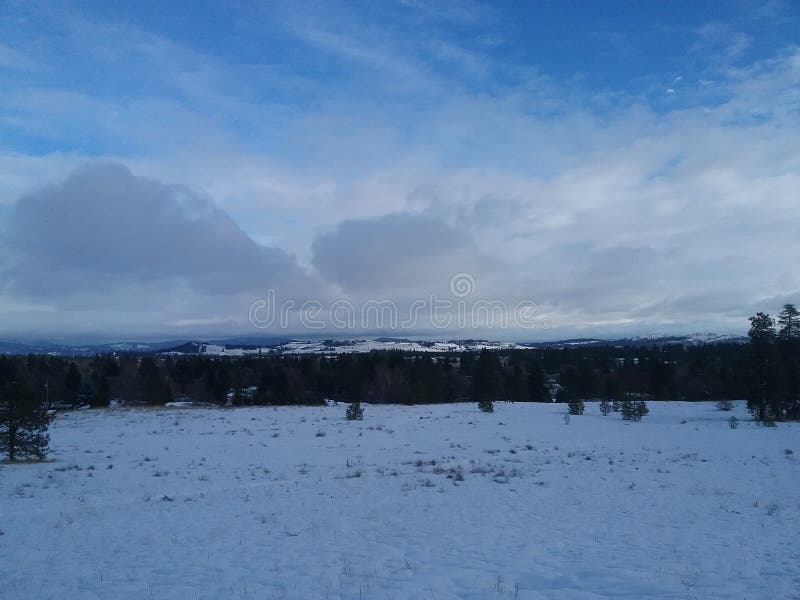 Holmberg Park Stock Photos Free & RoyaltyFree Stock Photos from