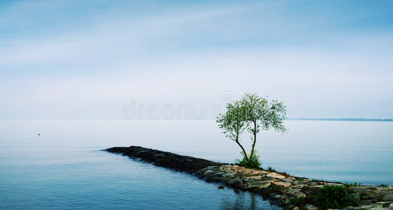 Spokojny i pokojowy jezioro