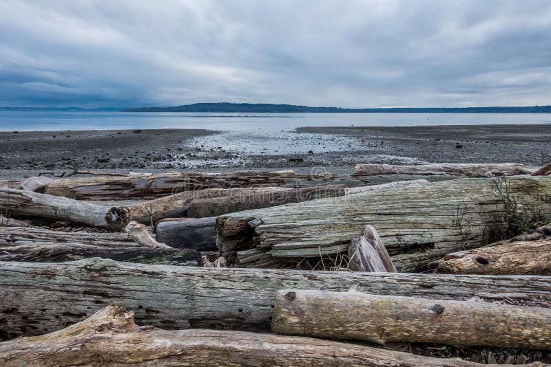 Spokojny Puget Sound Przy Niskim przypływem obraz stock Spokojny Puget Sound Przy Niskim przypływem obraz stock