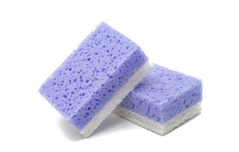 Sponge for cleaning isolated