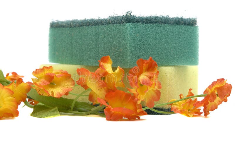 Sponge and flower stock photo. Image of interior, spongy 4849016