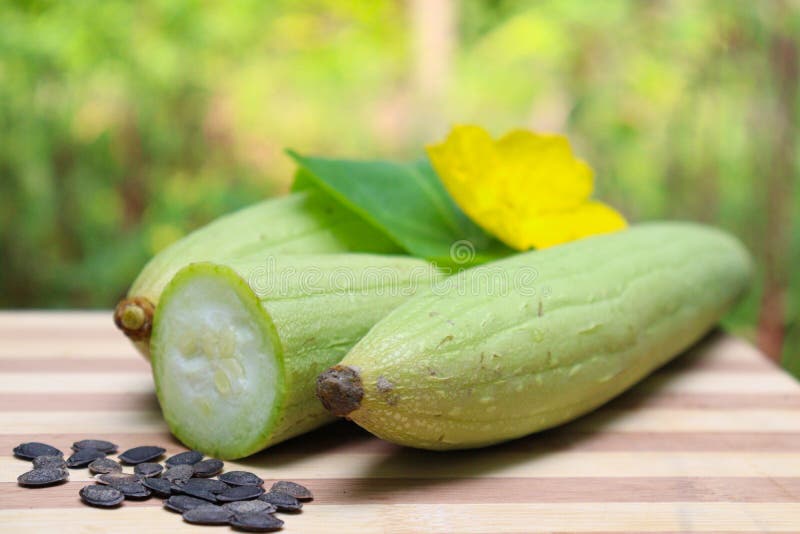 Sponge Gourd with Flower and Leaf Stock Image Image of ingredient