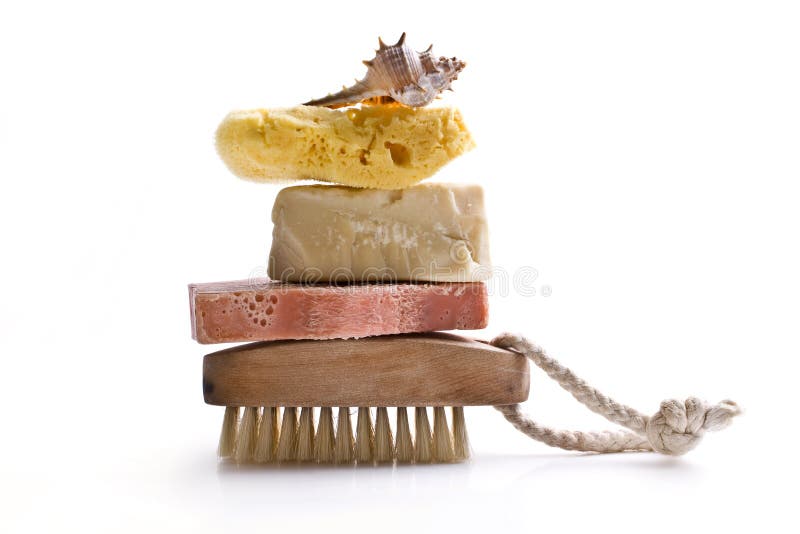 Sponge shell soap