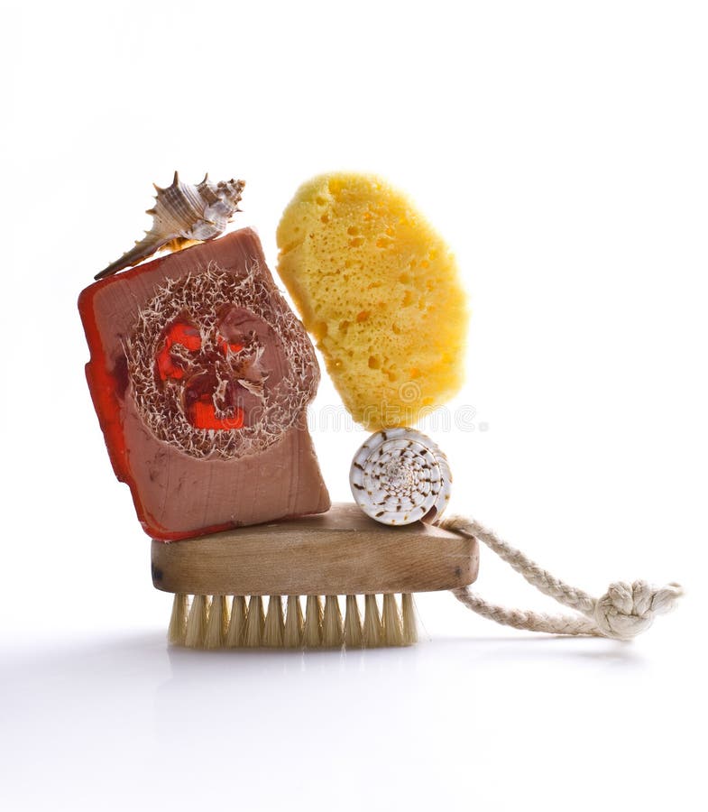 Sponge shell soap