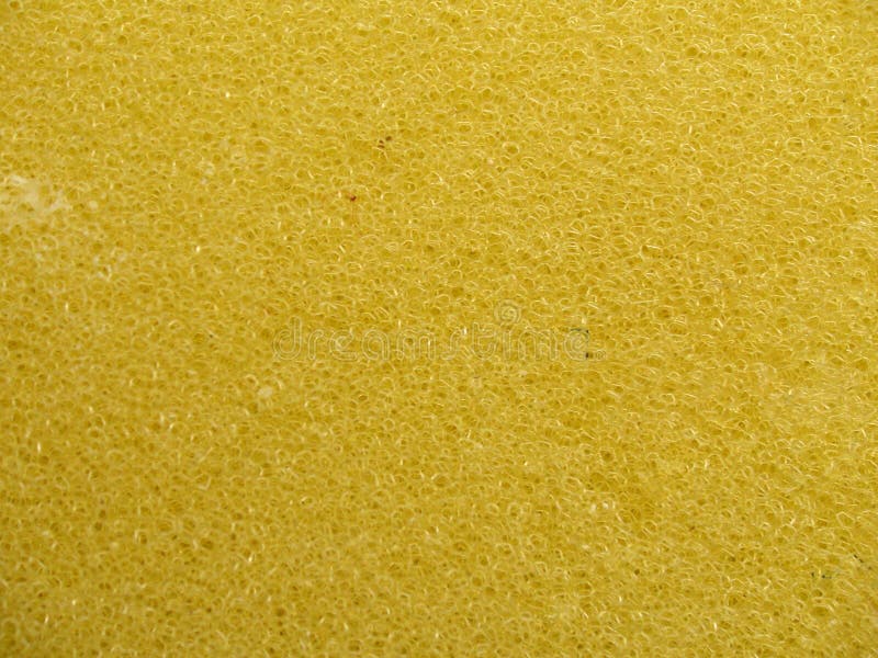 Sponge texture