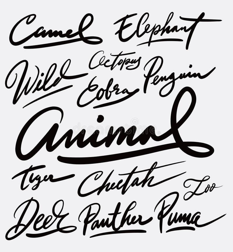 Wild Animal Handwriting Calligraphy Stock Vector - Illustration of drawing,  beautiful: 103187568