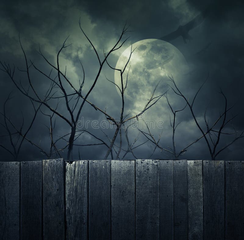 Spooky forest with full moon, dead trees and birds, Halloween background