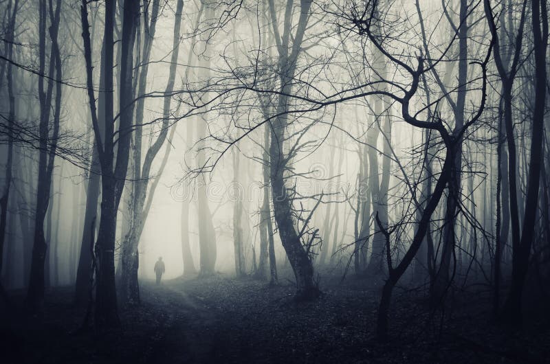 Spooky forest scene with man walking on a dark path on Halloween. Spooky forest scene with man walking on a dark path on Halloween