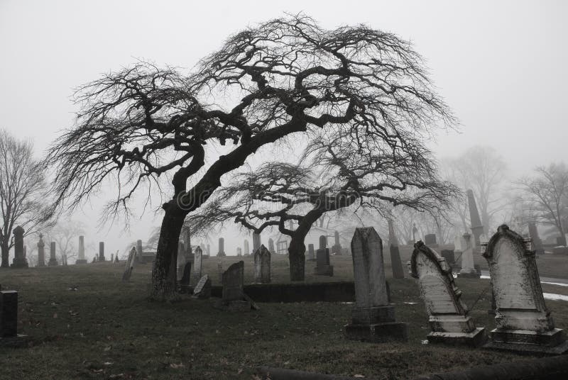 Spooky Halloween Graveyard Scenes