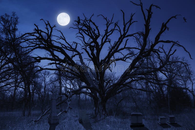 Spooky Halloween Cemetery With Owl and Full Moon
