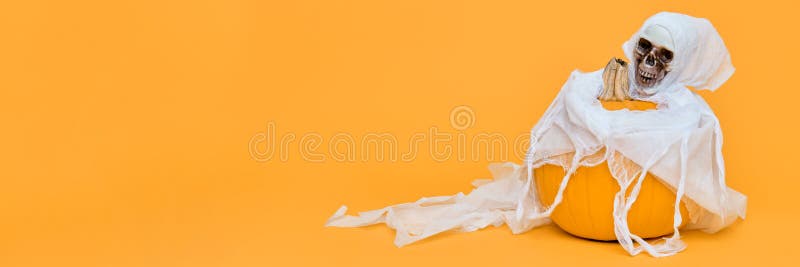 Spooky Halloween Concept. Scary skeleton hugging Jack o Lantern pumpkin. Halloween backdrop. royalty free stock image