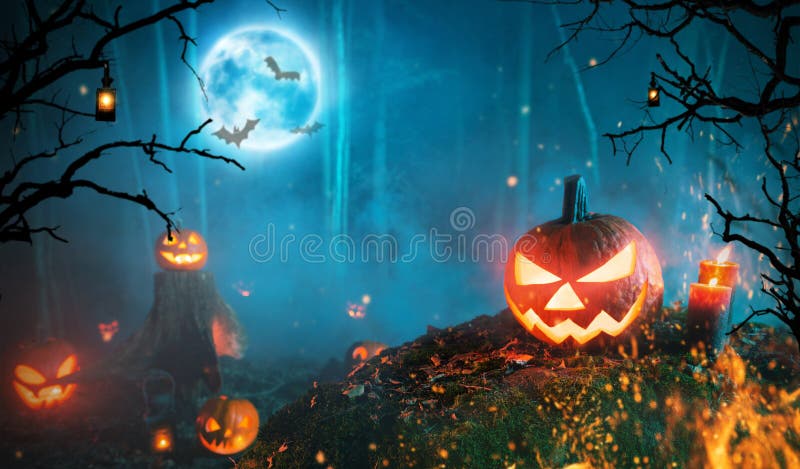 Spooky halloween pumpkins in dark forest. Scary halloween background with free space for text