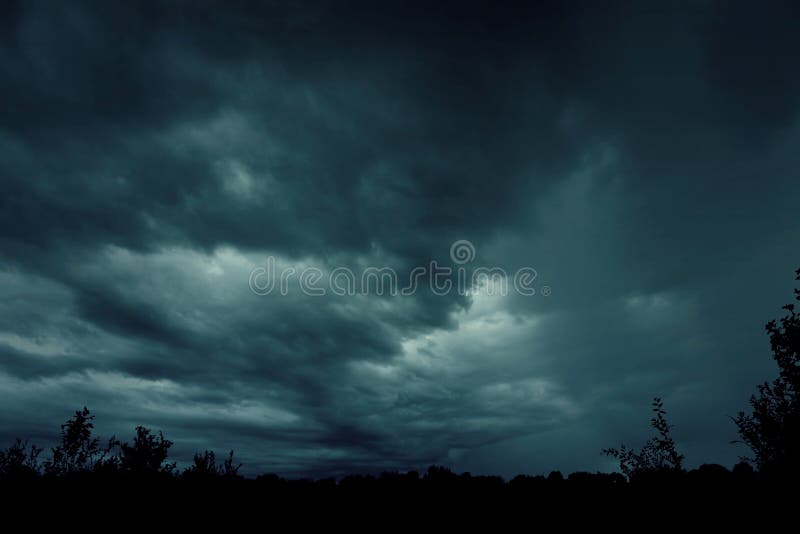 Spooky misty foggy forest with dramatic sky, halloween background