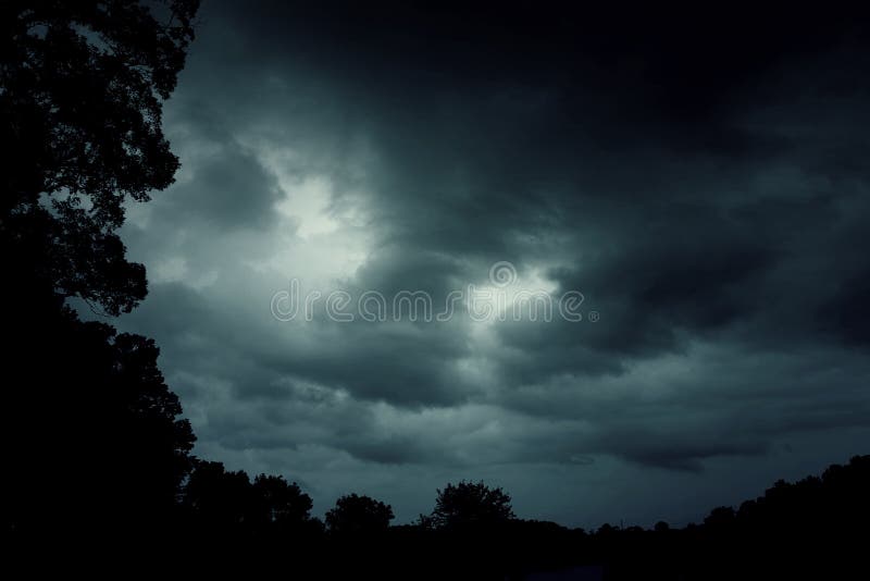 Spooky misty foggy forest with dramatic sky, halloween background