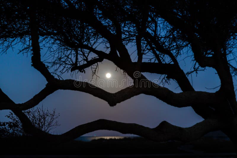 Spooky night scene for haunted Halloween stock photos Spooky night scene for haunted Halloween stock photos