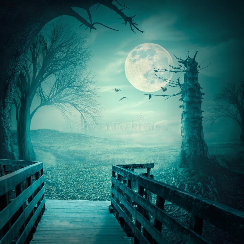 Spooky woods at moonlight as halloween backdrop