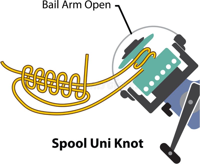 Uni Knot Stock Illustrations – 4 Uni Knot Stock Illustrations