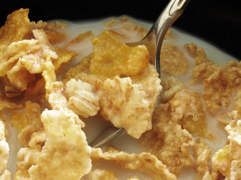 Spoon_in_Cereal stock image. Image of spoon, macro, silver 321075