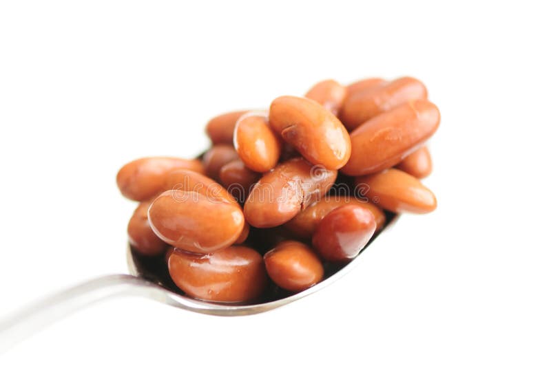 Spoon of Cooked Kidney Beans royalty free stock photography